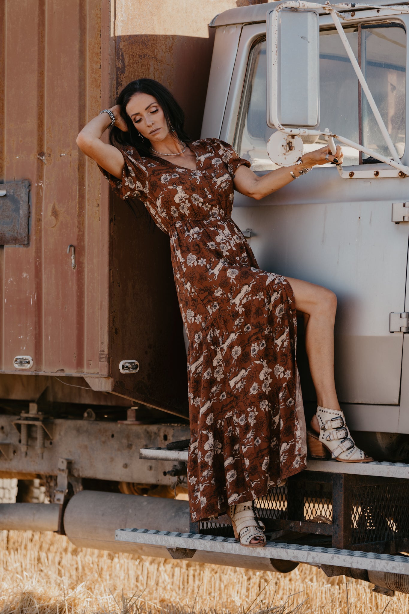 Wild Jackalope Dress