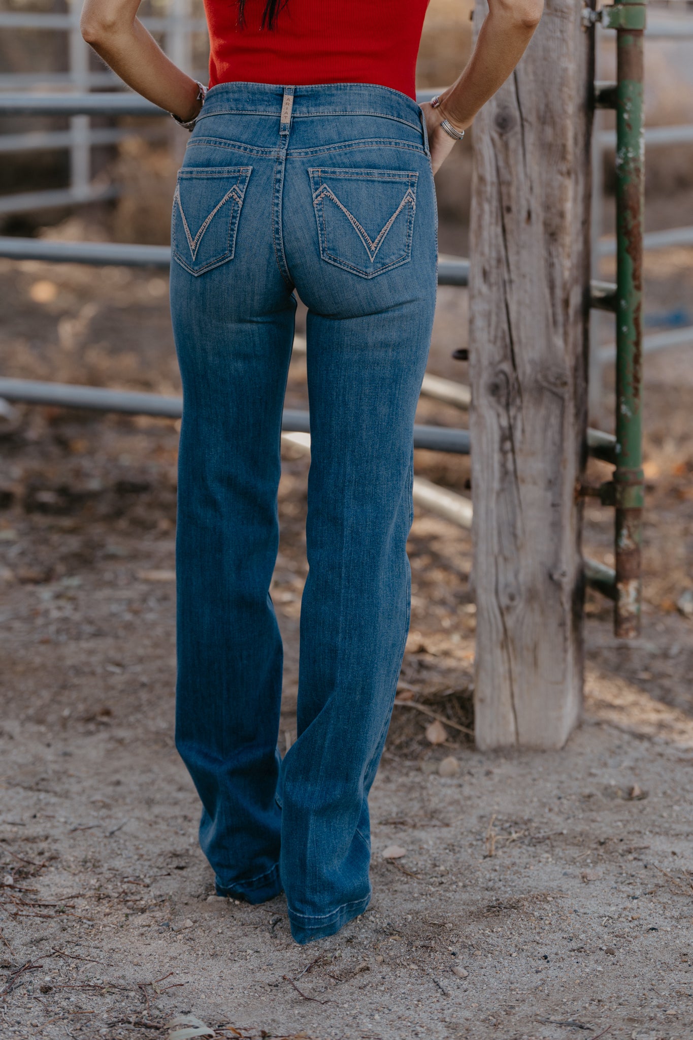 Albequerque Trouser by Ariat