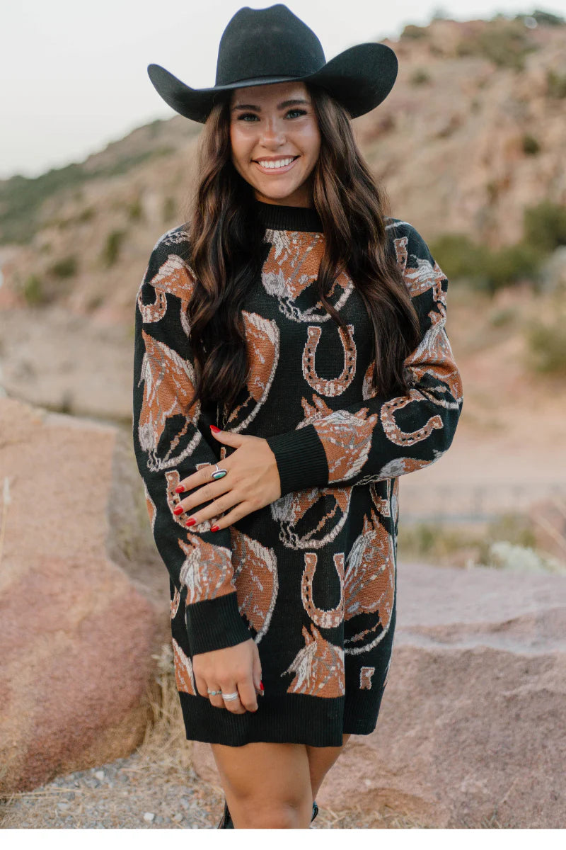 Ruidoso Sweater Dress