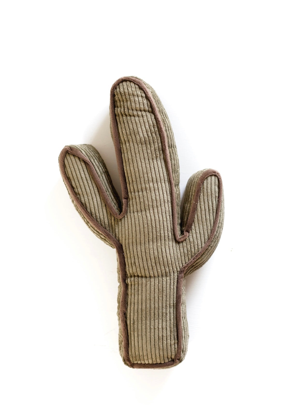 Kick A Cactus Pillow - Agave